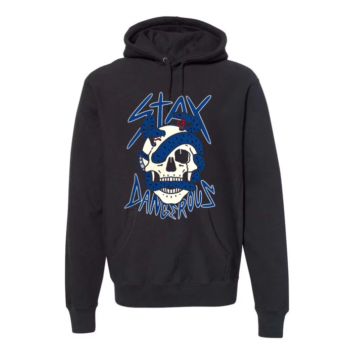 Stay Dangerous Skull Snake Sneaker Scary Swag Team Matching Perfect Gift Idea Premium Hoodie