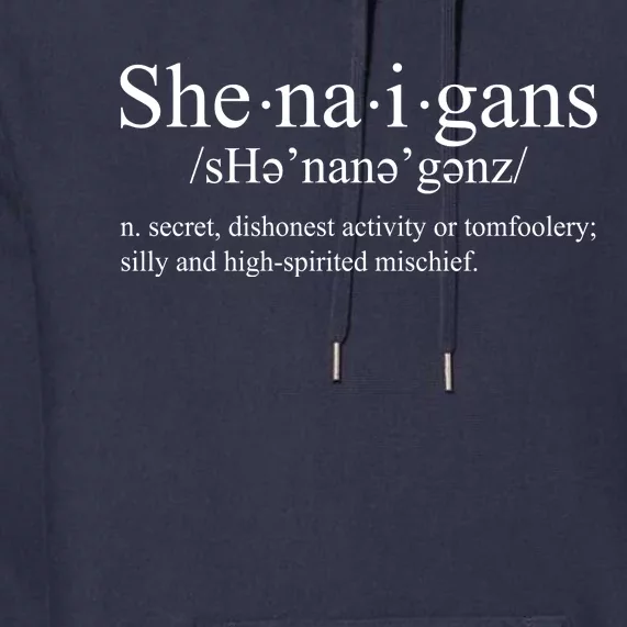 Shenanigans Definition St Patricks Day Funny Premium Hoodie