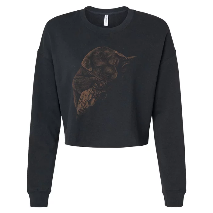 Sweet Dog Sleeping On Moon Cropped Pullover Crew