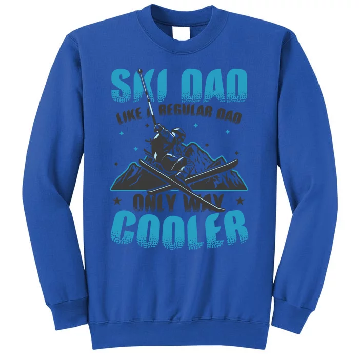 Skiis Downhill Skiier Costume Ski Dad Gift Sweatshirt