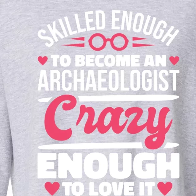 Skilled Enough Archaeologist And Archaeology Lover Gift Cropped Pullover Crew