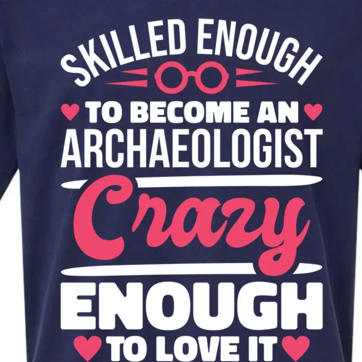 Skilled Enough Archaeologist And Archaeology Lover Gift Sueded Cloud Jersey T-Shirt