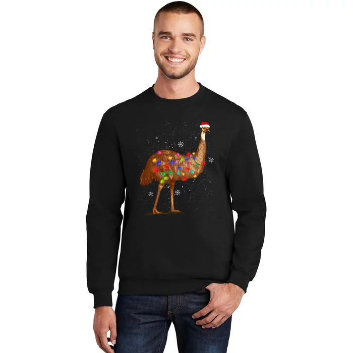 Santa Emu Bird With Christmas Lights Funny Xmas Celebration Sweatshirt