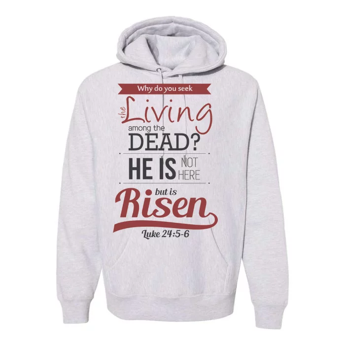 Seek Living Among Dead He Is Risen Jesus Premium Hoodie