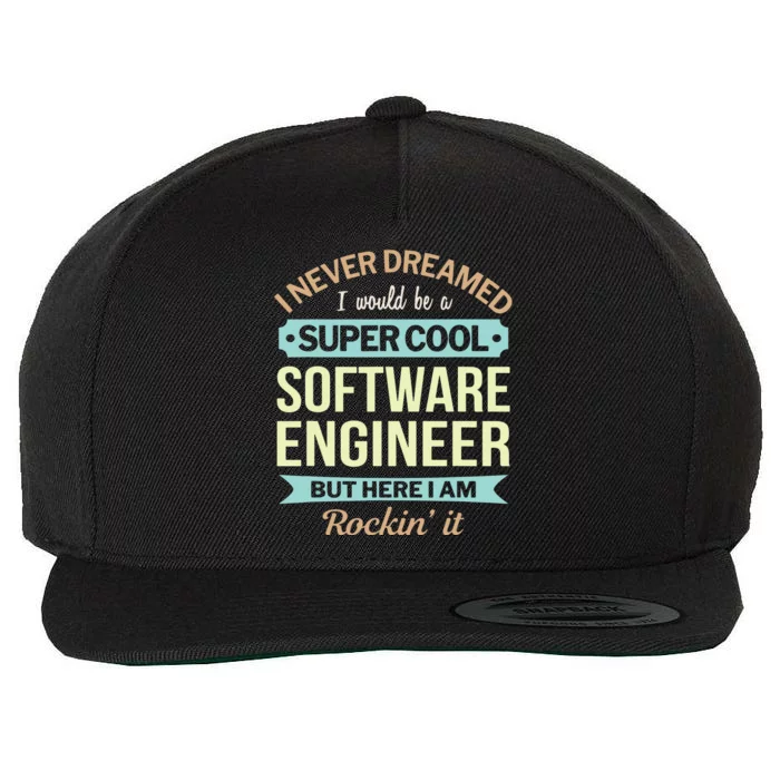 Software Engineer Gift Funny Appreciation Wool Snapback Cap