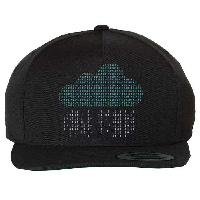 Software Engineer Programming Computer Developer Coder Wool Snapback Cap