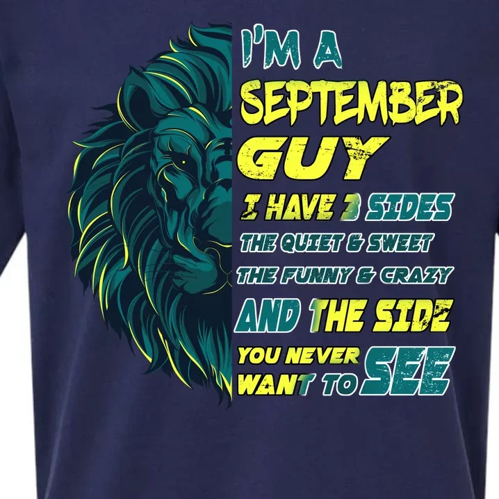 September Birthday Guy Has 3 Sides Sweet Funny Crazy Sueded Cloud Jersey T-Shirt