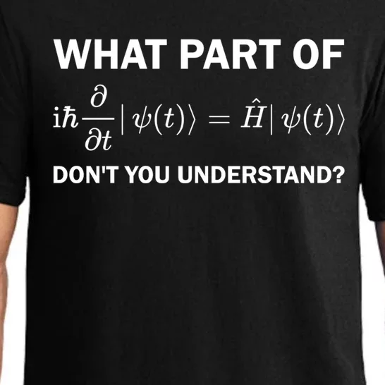 Schrödinger Equation Science Funny Physics Saying Physicist Great Gift Pajama Set