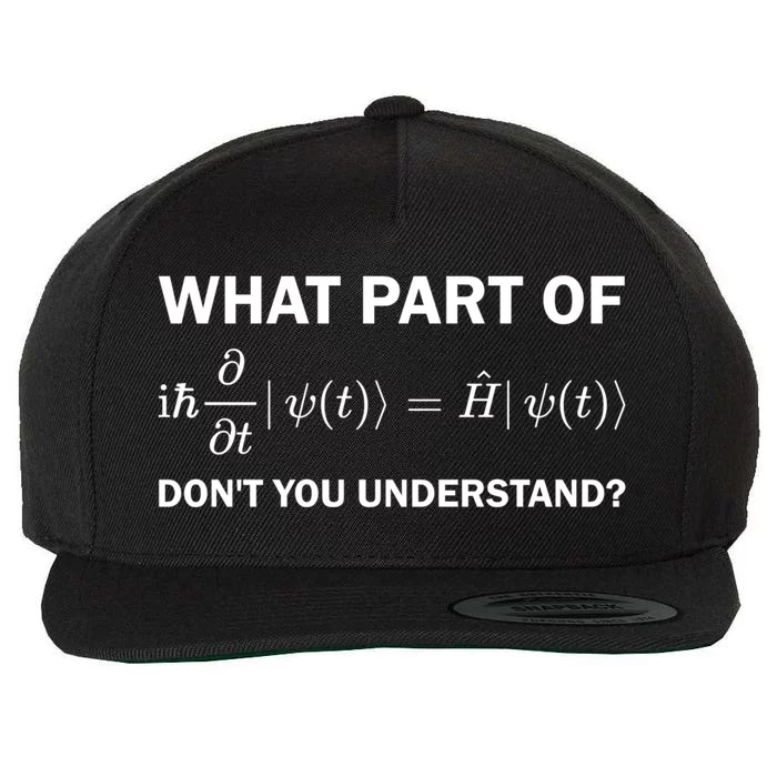 Schrödinger Equation Science Funny Physics Saying Physicist Great Gift Wool Snapback Cap