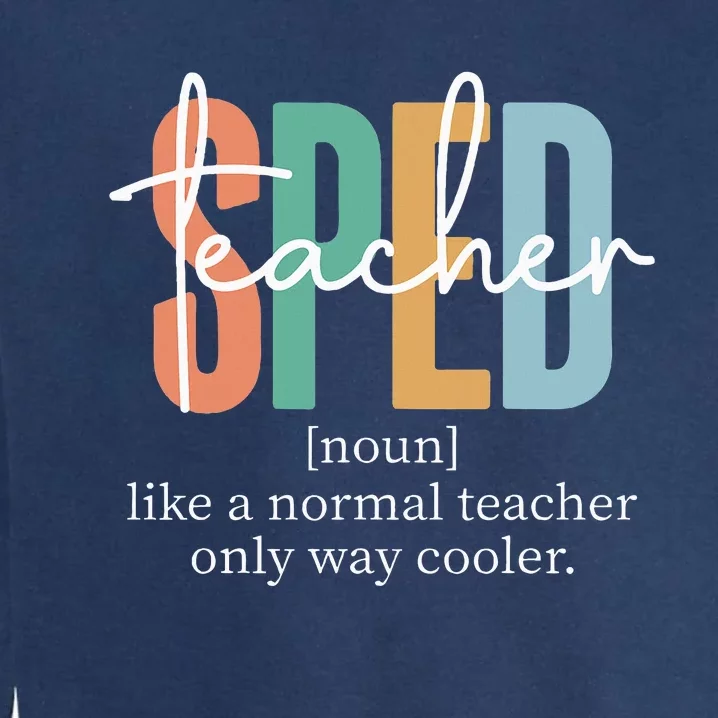 Special Education Sped Teacher Definition Garment-Dyed Sweatshirt