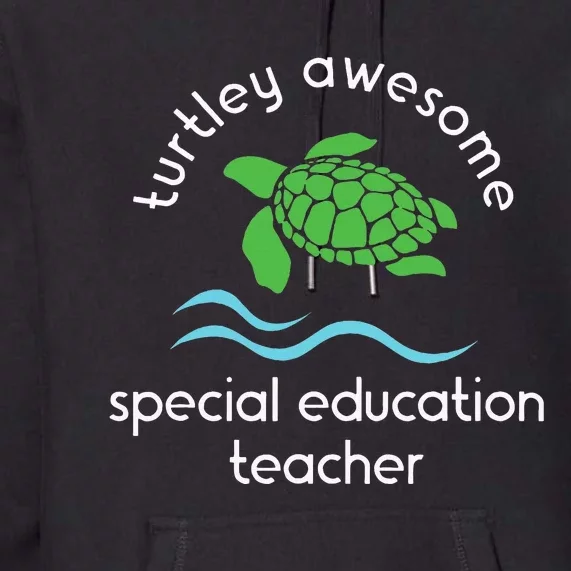 Special Education Teacher Premium Hoodie