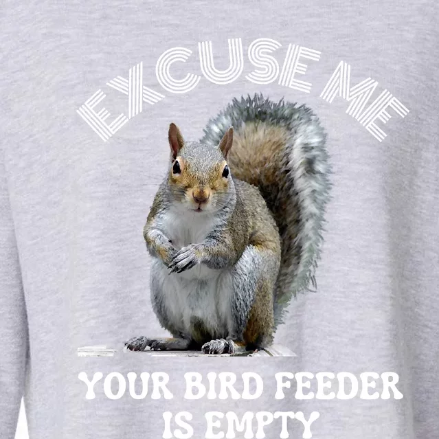 Squirrel Excuse To Me Your Bird Feeder Is Empty Cute Saying Cropped Pullover Crew