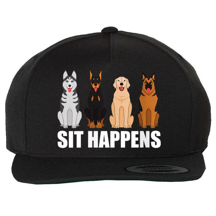 S Funny Dog Training Art For Dog Lover Puppy Pet Vneck Wool Snapback Cap