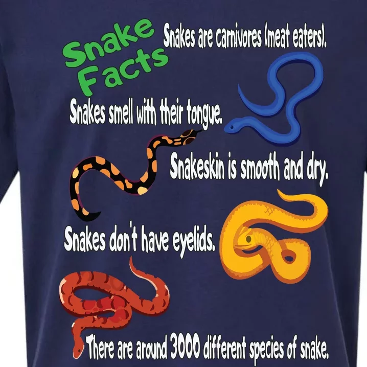 Snake Facts Funny Boy Girl Snake Lover Sueded Cloud Jersey T-Shirt