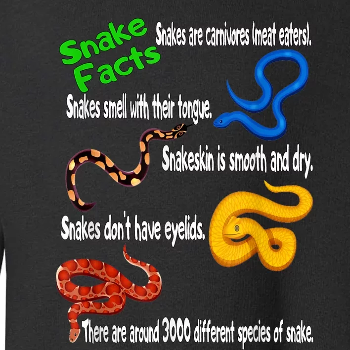 Snake Facts & Funny Boy Girl Toddlers Snake Lover Toddler Sweatshirt