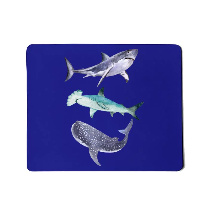 Shark Fans Great White Hammerhead And Whale Shark Lover Mousepad