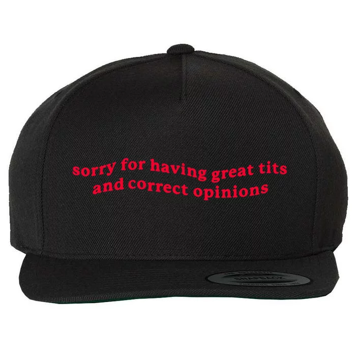 Sorry For Having Great Tits And Correct Opinions Wool Snapback Cap