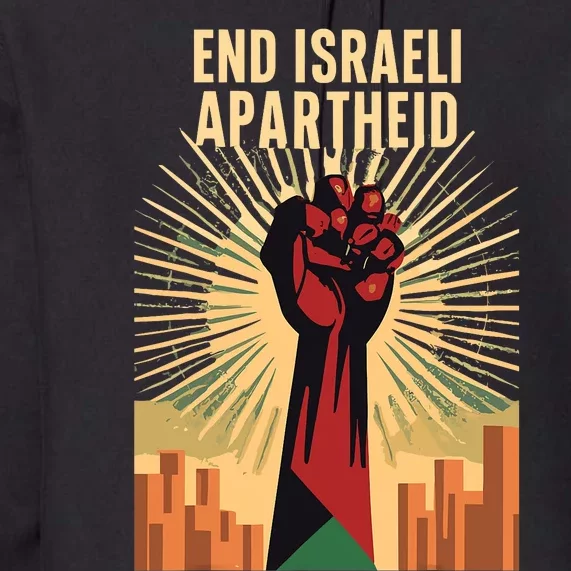 Stand For Justice: End Israel Apartheid Palestine Premium Hoodie