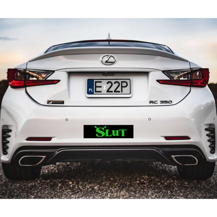 Slut Funny Meme Logo Bumper Sticker