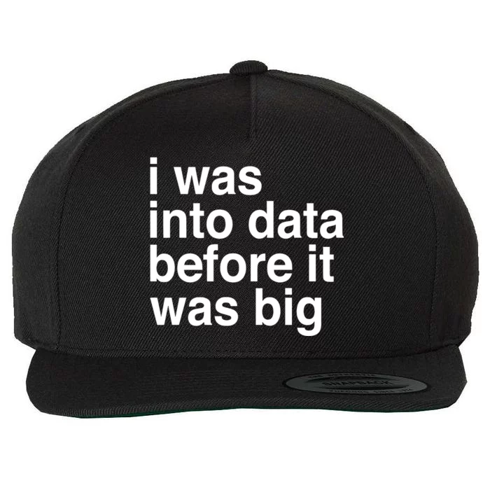 Sophie From Romania I Was Into Data Before It Was Big Wool Snapback Cap