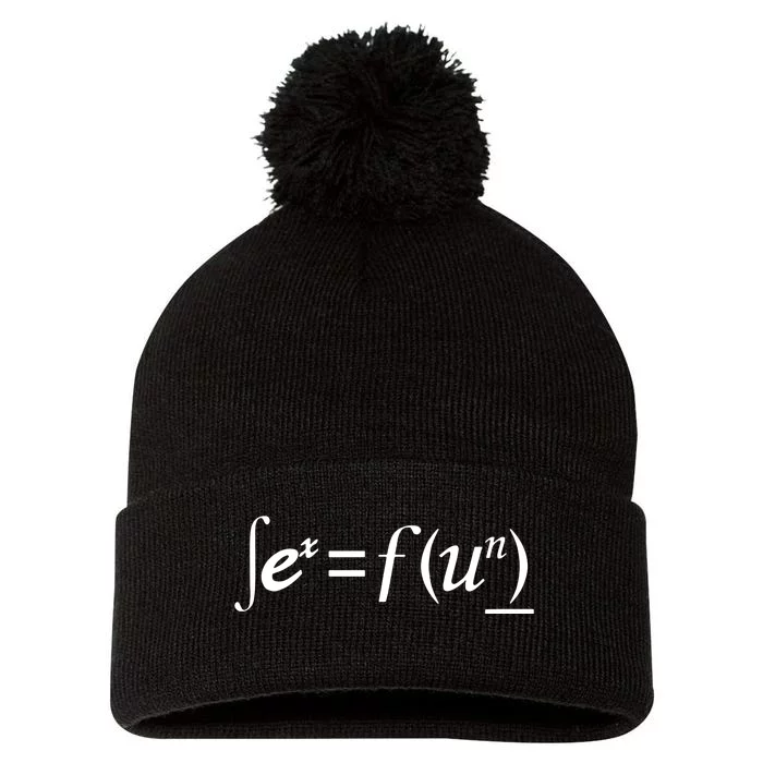 Sex = Fun Sex Equals Fun Pom Pom 12in Knit Beanie