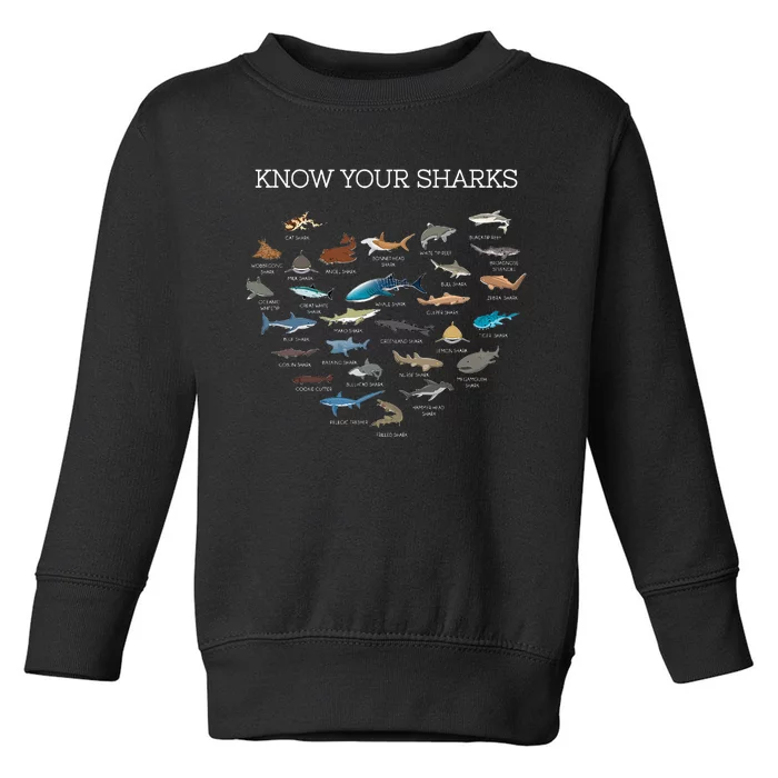 Shark Faces Types Of Sharks Gift Marine Biology Ocean Shark Toddler Sweatshirt