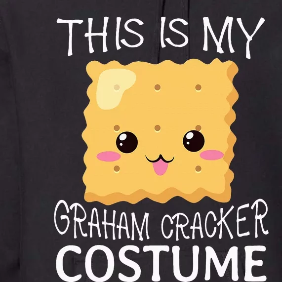 Smores Graham Cracker Camping Halloween Group Costume Premium Hoodie