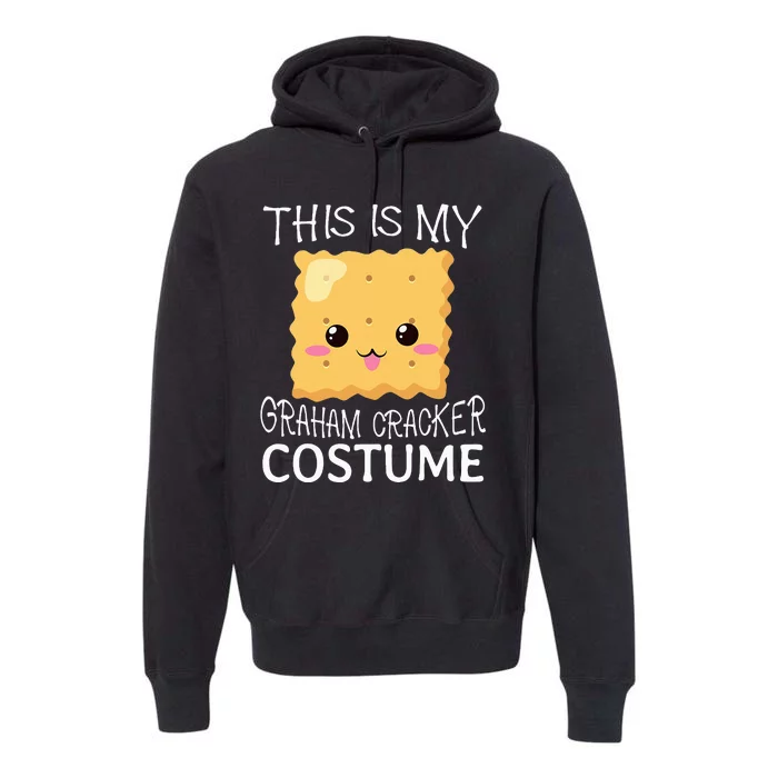 Smores Graham Cracker Camping Halloween Group Costume Premium Hoodie