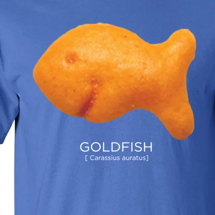 Scientific Goldfish Cool Gift Great Gift With Hood Tall T-Shirt