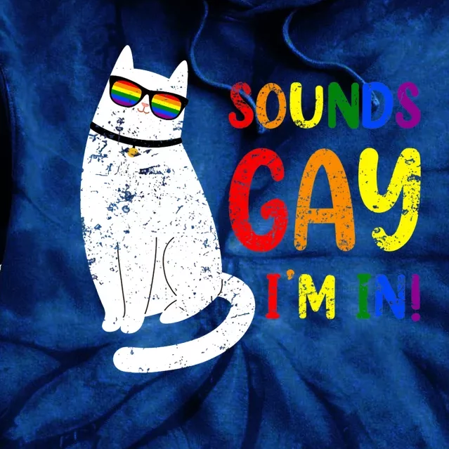 Sounds Gay I Am In Chonk Cat Funny Kitty LGBT Pride Rainbow Tie Dye Hoodie