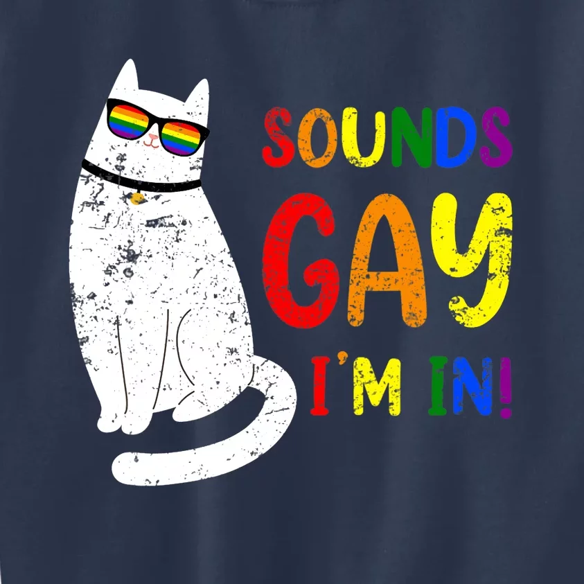 Sounds Gay I Am In Chonk Cat Funny Kitty LGBT Pride Rainbow Kids Sweatshirt