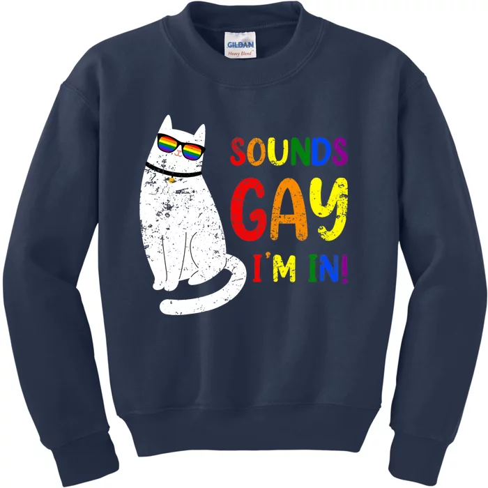 Sounds Gay I Am In Chonk Cat Funny Kitty LGBT Pride Rainbow Kids Sweatshirt