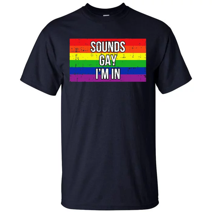 Sounds Gay Im In Pride Flag Pro Lgbtq Cool Lgbt Ally Gift Tall T-Shirt