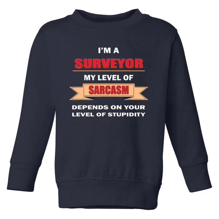 Surveyor Gifts Land Surveying Tools Sarcasm Stupidity Toddler Sweatshirt