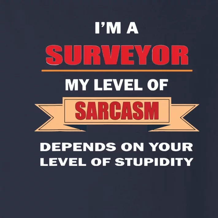 Surveyor Gifts Land Surveying Tools Sarcasm Stupidity Toddler Long Sleeve Shirt