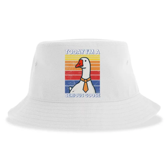 Serious Goose Lover Funny Goose Design Sustainable Bucket Hat