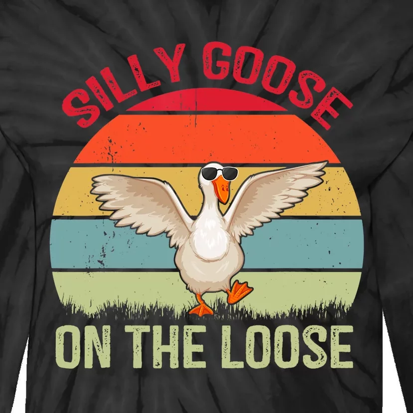 Silly Goose On The Loose Funny Saying Tie-Dye Long Sleeve Shirt