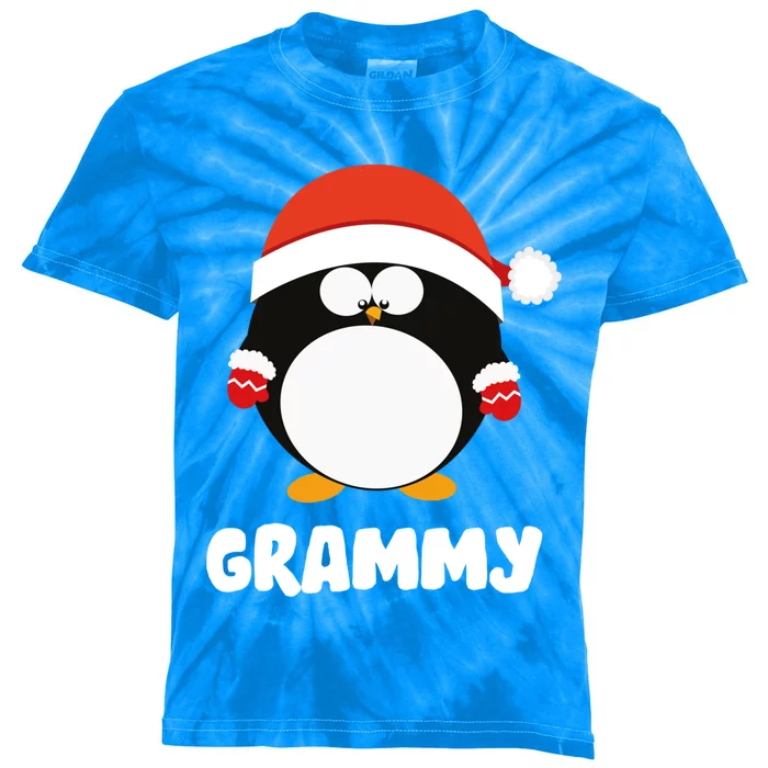 Santa Grammy Penguin Christmas Family Matching Costume Gift Kids Tie-Dye T-Shirt