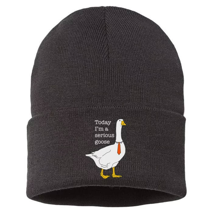 Serious Goose Silly Goose Funny Cute Design Sustainable Knit Beanie