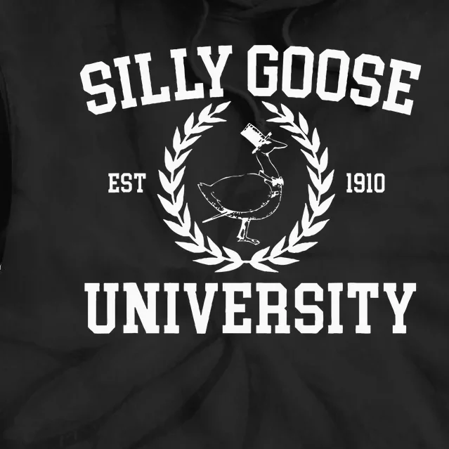 Silly Goose University Tie Dye Hoodie