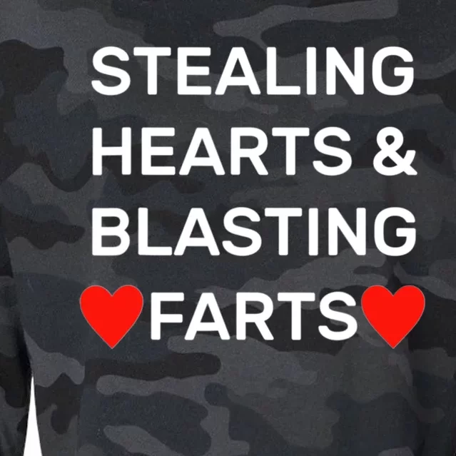 Stealing Hearts And Blasting Farts Cropped Pullover Crew