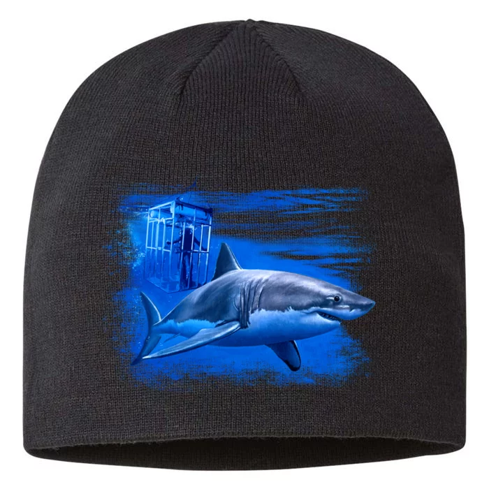 Shark Cage 8 1/2in Sustainable Knit Beanie