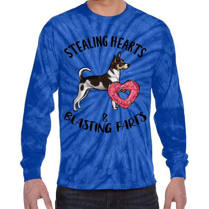 Stealing Hearts Blasting Farts Rat Terrier Valentines Day Funny Gift Tie-Dye Long Sleeve Shirt