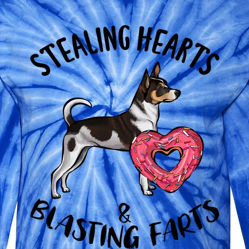 Stealing Hearts Blasting Farts Rat Terrier Valentines Day Funny Gift Tie-Dye Long Sleeve Shirt