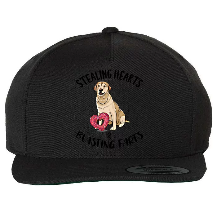 Stealing Hearts Blasting Farts Labrador Retriever Valentines Meaningful Gift Wool Snapback Cap