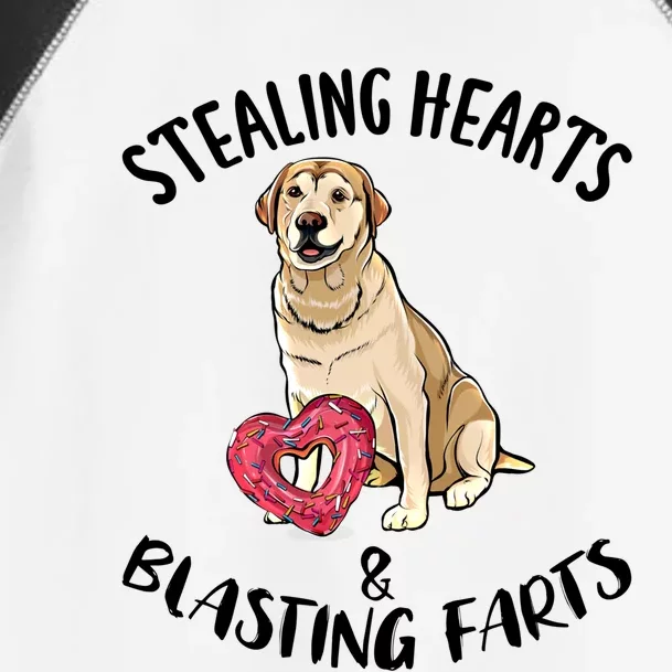 Stealing Hearts Blasting Farts Labrador Retriever Valentines Meaningful Gift Toddler Fine Jersey T-Shirt