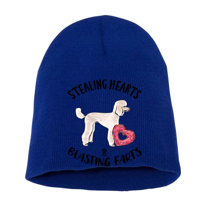 Stealing Hearts Blasting Farts Poodle Valentines Day Meaningful Gift Short Acrylic Beanie