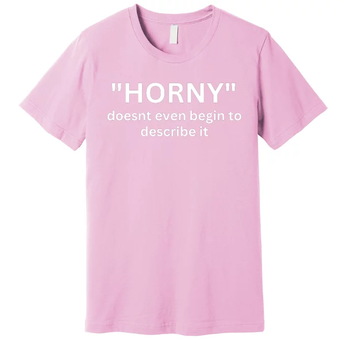 Sarcastic Horny Doesn’t Even Begin To Describe It Premium T-Shirt