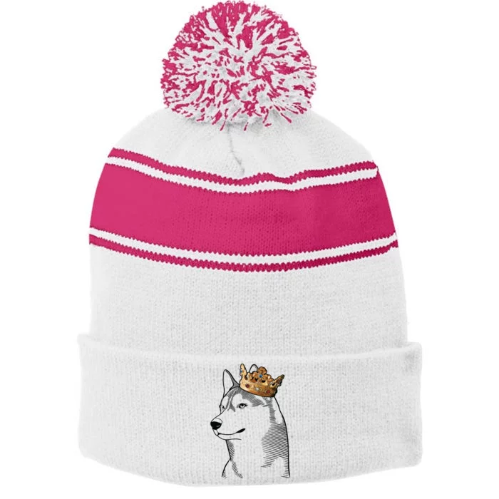 Siberian Husky Dog Wearing Crown Stripe Pom Pom Beanie