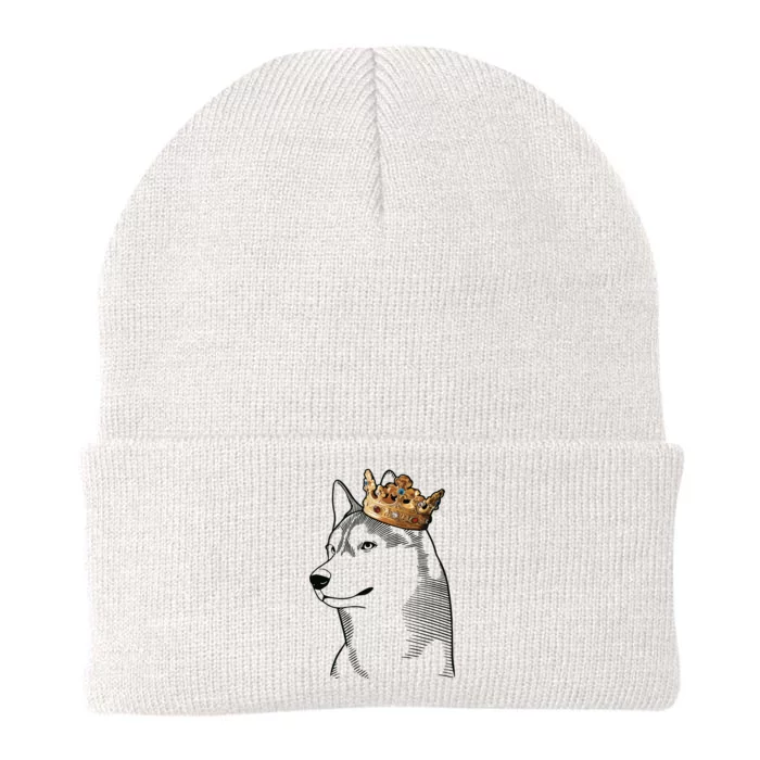 Siberian Husky Dog Wearing Crown Knit Cap Winter Beanie